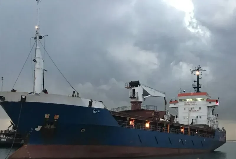 DALLAS General Cargo IMO 7723986 photo 7