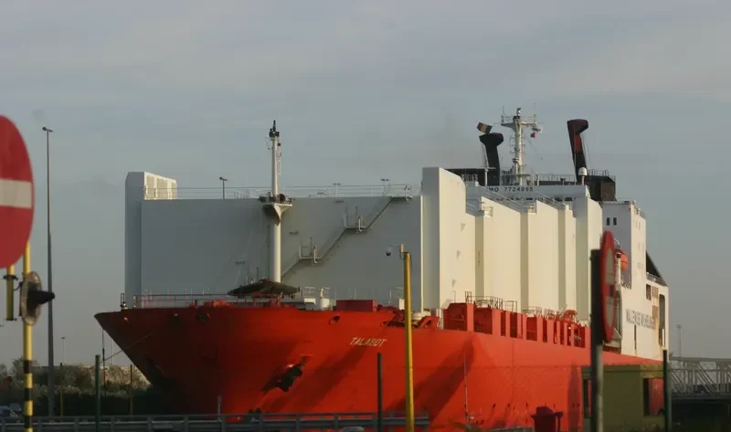 TALABOT General Cargo IMO 7724095 photo 3