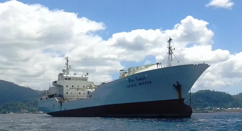 SEAVIC REEFER General Cargo IMO 7724186