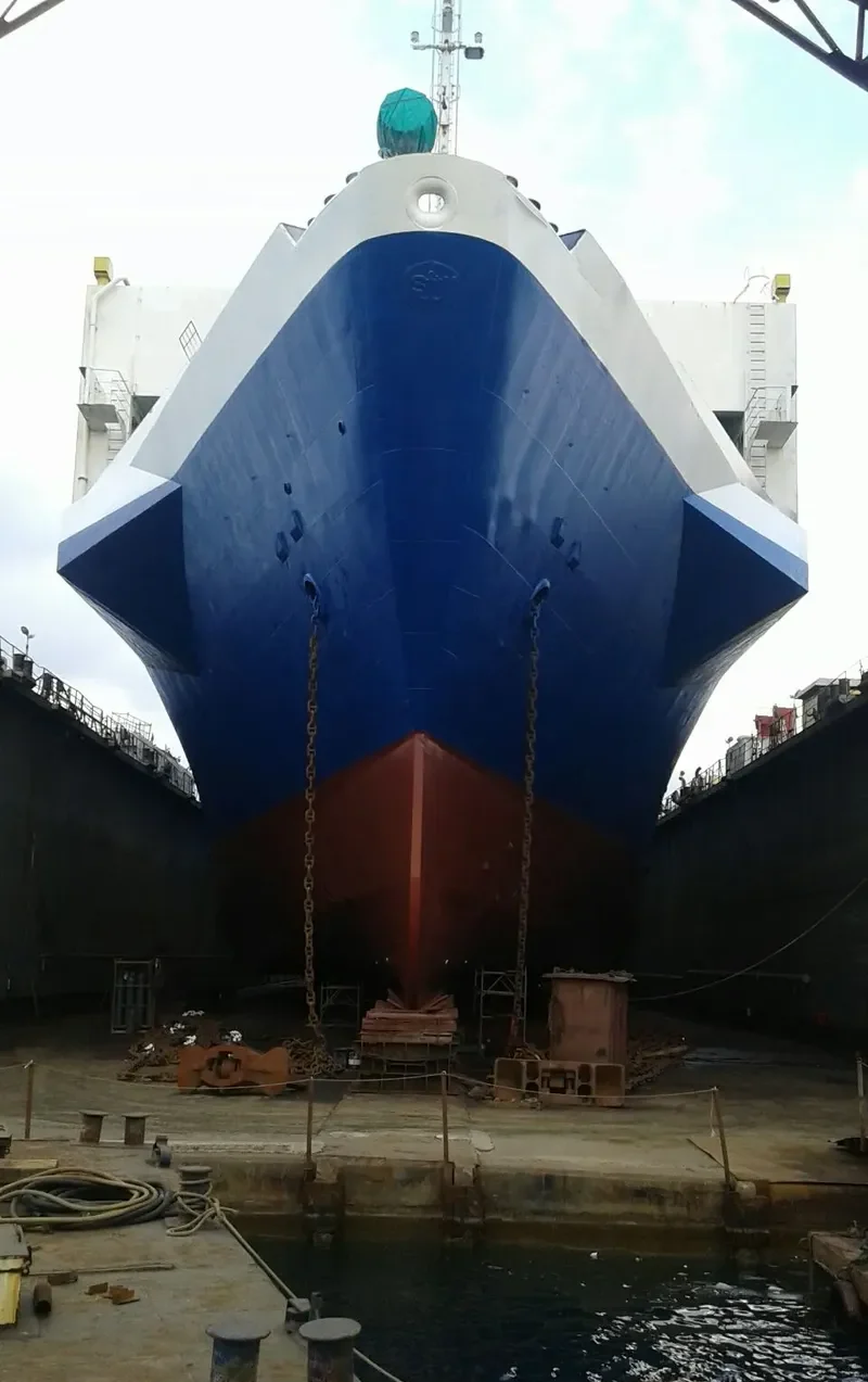 BEKAA DREAM Ro-Ro IMO 7724265 photo 2