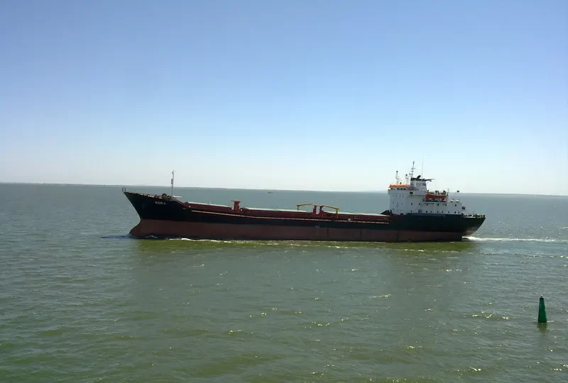 BORA Bulk Carrier IMO 7724368 photo 2