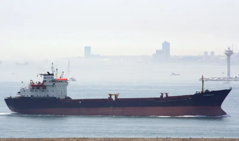 BORA Bulk Carrier IMO 7724368 photo 5