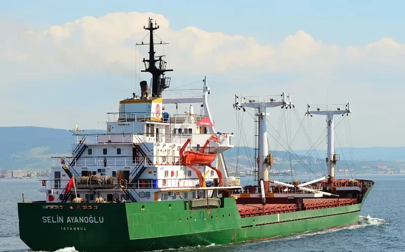 SELIN AYANOGLU General Cargo IMO 7724370