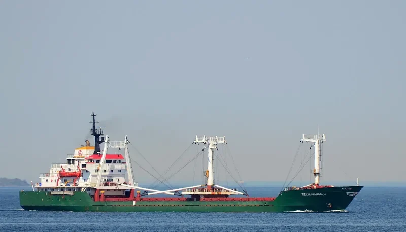 SELIN AYANOGLU General Cargo IMO 7724370 photo 2