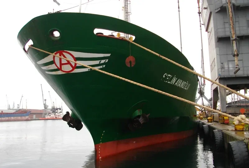 SELIN AYANOGLU General Cargo IMO 7724370 photo 6
