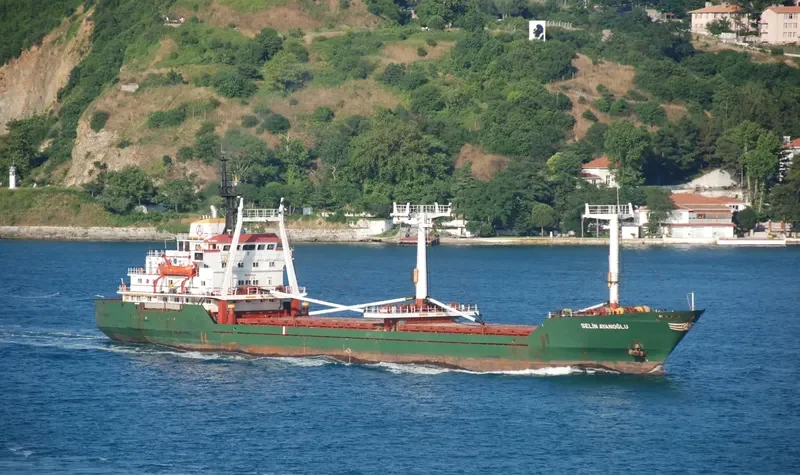 SELIN AYANOGLU General Cargo IMO 7724370 photo 8