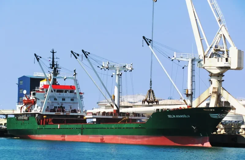 SELIN AYANOGLU General Cargo IMO 7724370 photo 9