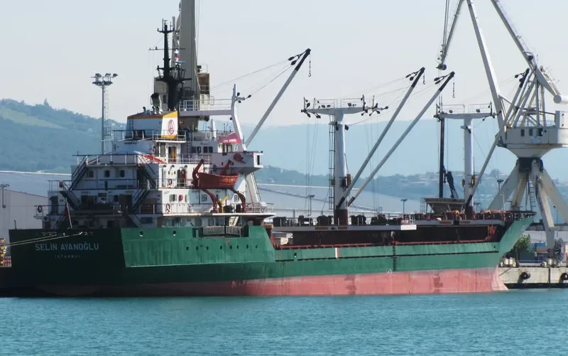 SELIN AYANOGLU General Cargo IMO 7724370 photo 10