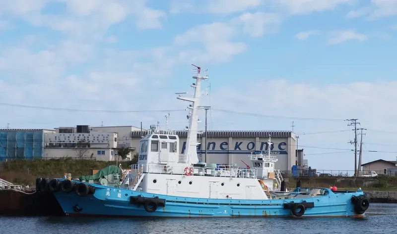 BOSAIGO HOKURYU Tug Boat IMO 7724992
