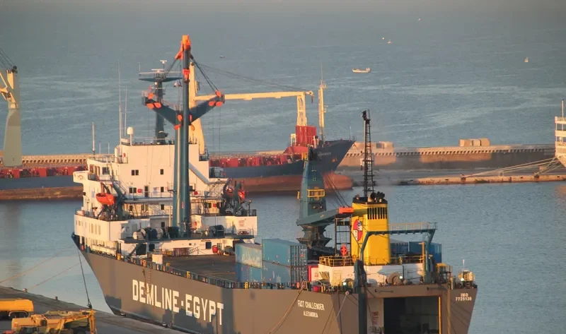 JABAL ALI 5 Ro-Ro IMO 7725130 photo 7