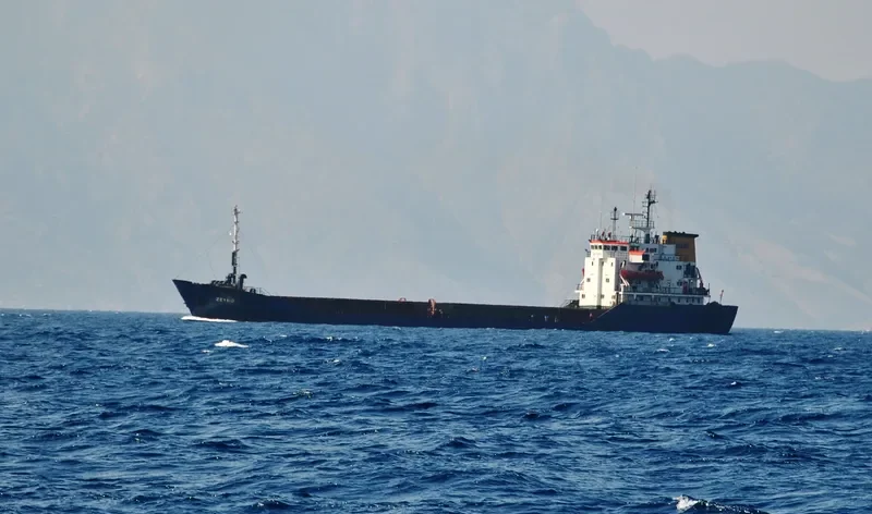 ZEYNO Bulk Carrier IMO 7725520