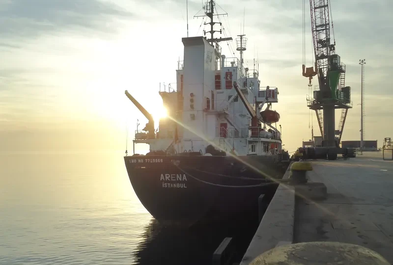 ARENA Bulk Carrier IMO 7725568
