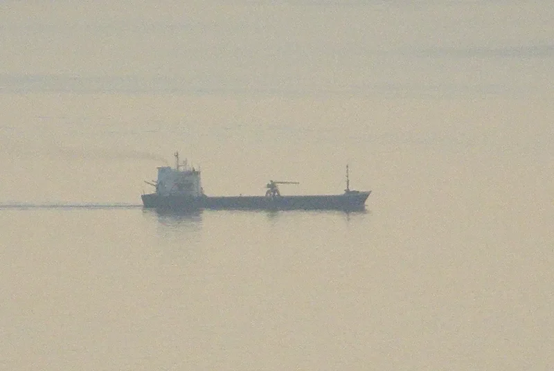 ARENA Bulk Carrier IMO 7725568 photo 3