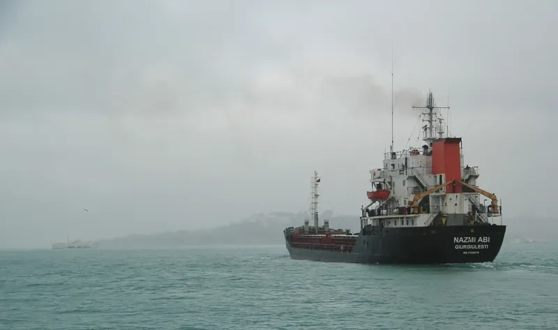 NAZMI ABI Bulk Carrier IMO 7725570 photo 2