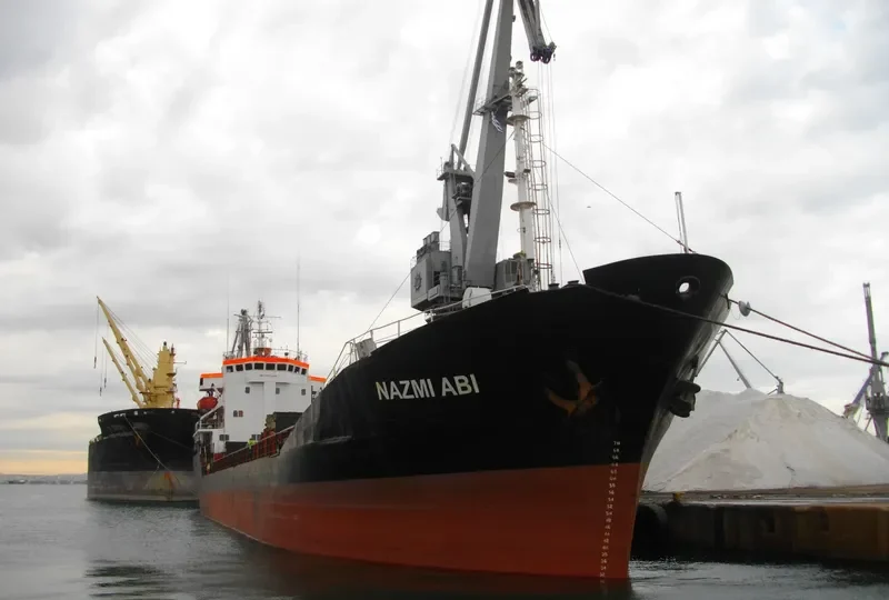 NAZMI ABI Bulk Carrier IMO 7725570 photo 4