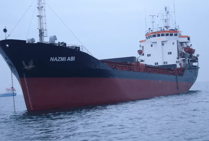 NAZMI ABI Bulk Carrier IMO 7725570 photo 5