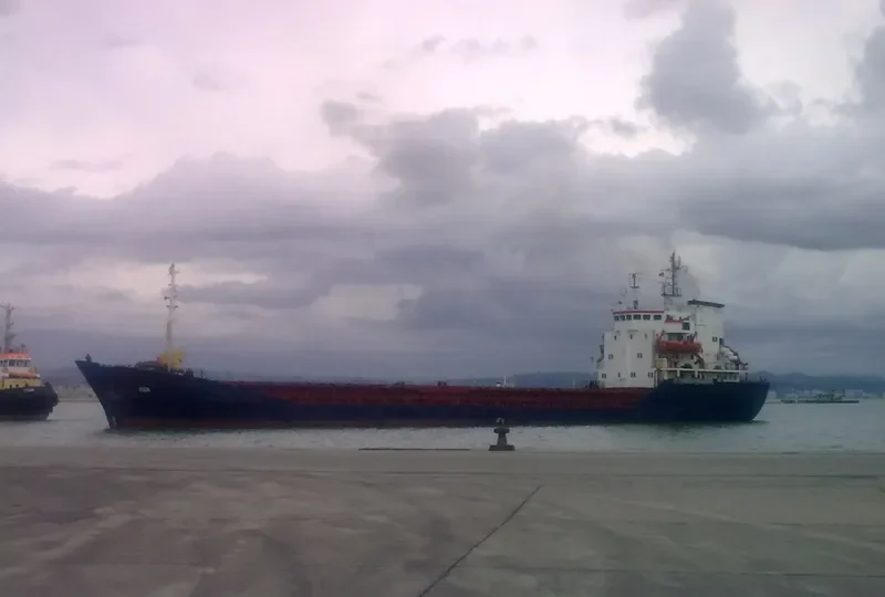 MACRO Bulk Carrier IMO 7725582 photo 8