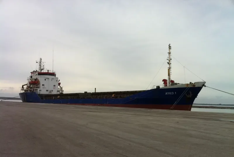 AYKO 1 Bulk Carrier IMO 7725611 photo 6