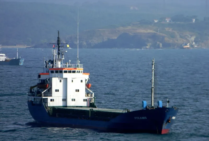 PYRAMIS General Cargo IMO 7725647 photo 6
