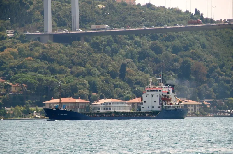 PYRAMIS General Cargo IMO 7725647 photo 10