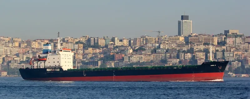 SABINO Bulk Carrier IMO 7725673 photo 6