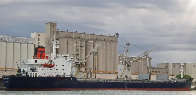 NURAN ANA Bulk Carrier IMO 7725685 photo 2