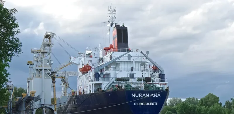 NURAN ANA Bulk Carrier IMO 7725685 photo 3
