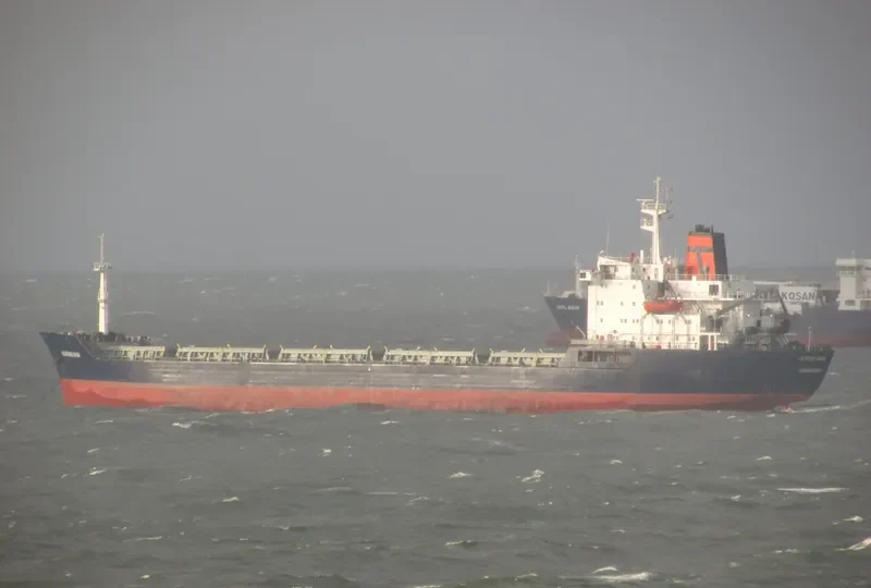 NURAN ANA Bulk Carrier IMO 7725685 photo 6