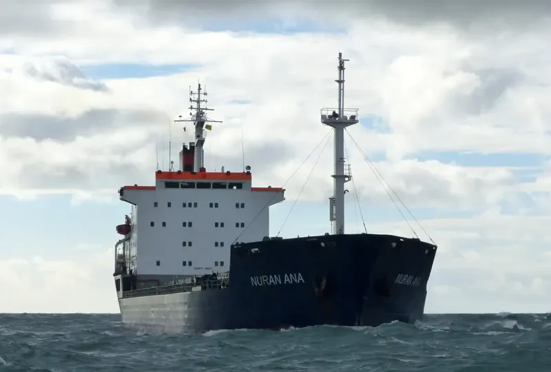 NURAN ANA Bulk Carrier IMO 7725685 photo 7