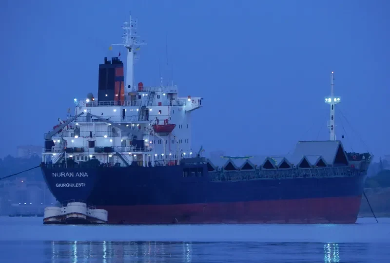 NURAN ANA Bulk Carrier IMO 7725685 photo 8