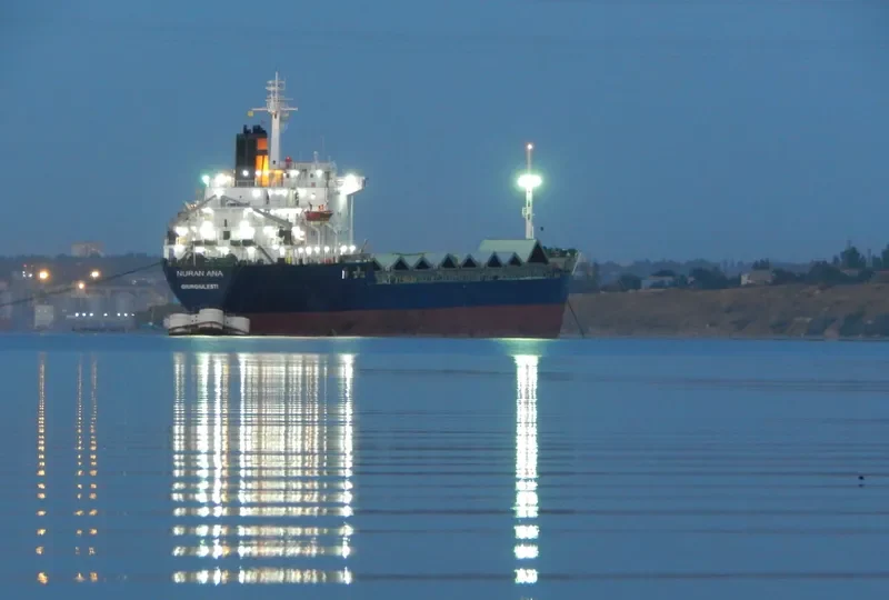 NURAN ANA Bulk Carrier IMO 7725685 photo 9