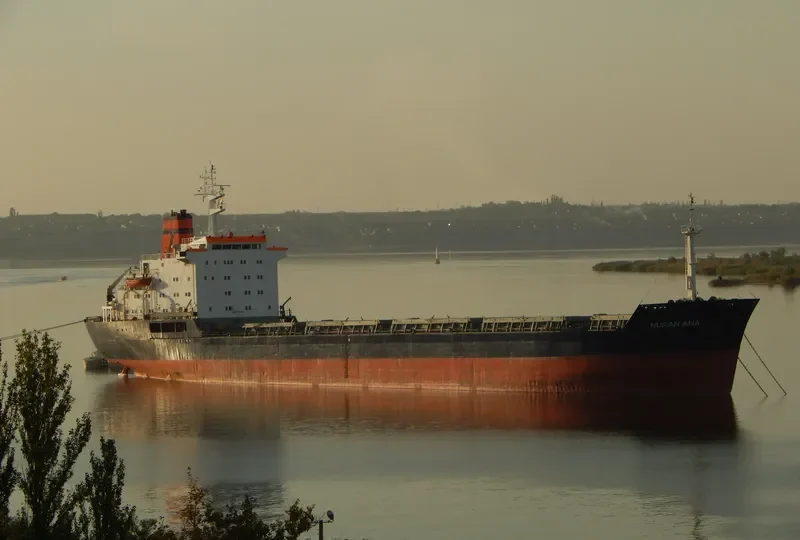 NURAN ANA Bulk Carrier IMO 7725685 photo 10
