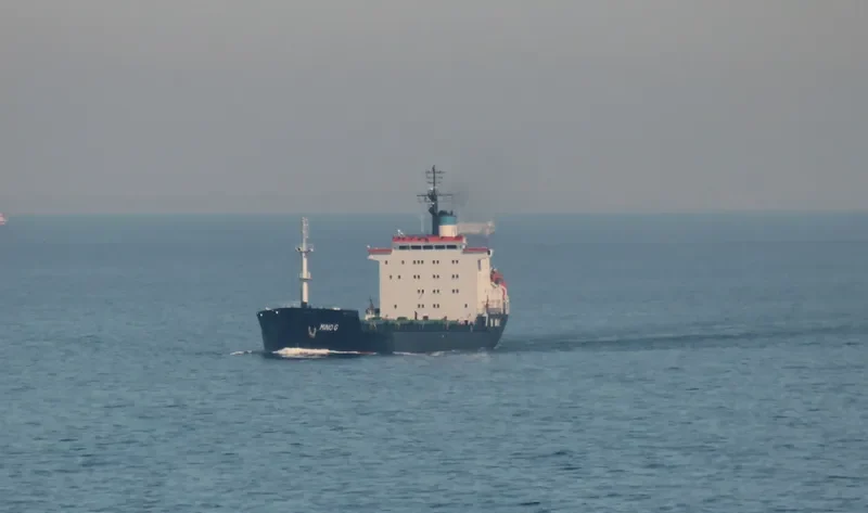 MINO G Bulk Carrier IMO 7725697 photo 4