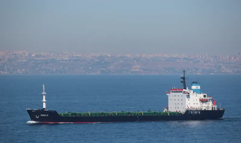 MINO G Bulk Carrier IMO 7725697 photo 5