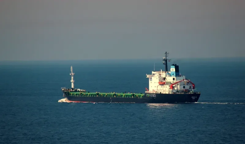 MINO G Bulk Carrier IMO 7725697 photo 6