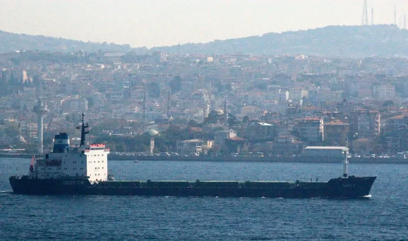 MINO G Bulk Carrier IMO 7725697 photo 7