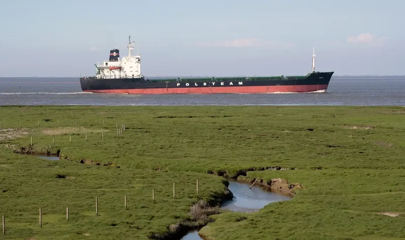 VICTORIA Bulk Carrier IMO 7725702 photo 2
