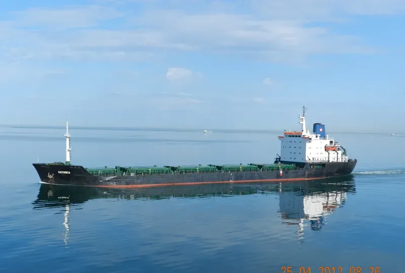 VICTORIA Bulk Carrier IMO 7725702 photo 7