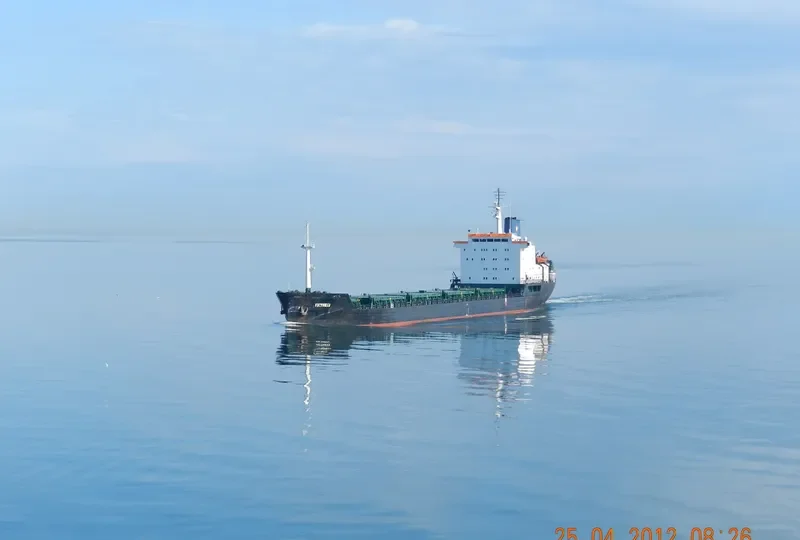 VICTORIA Bulk Carrier IMO 7725702 photo 9