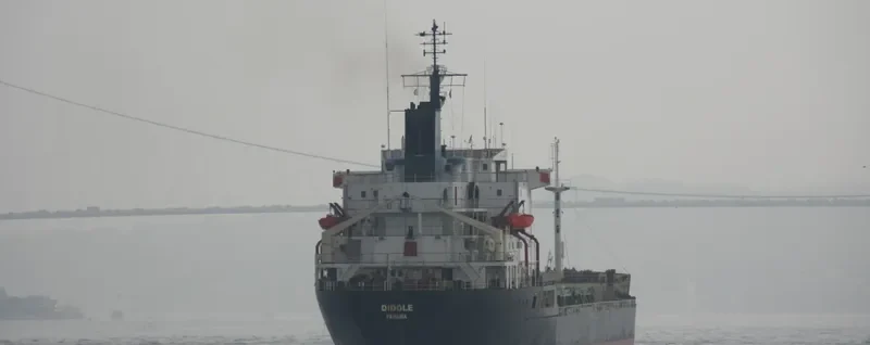 DIDDLE Bulk Carrier IMO 7725714 photo 3