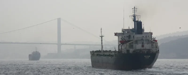DIDDLE Bulk Carrier IMO 7725714 photo 5