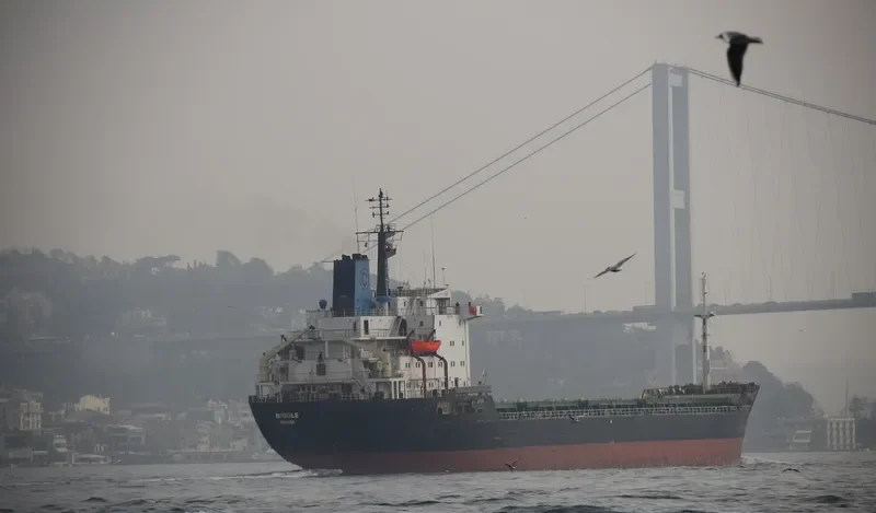 DIDDLE Bulk Carrier IMO 7725714 photo 6