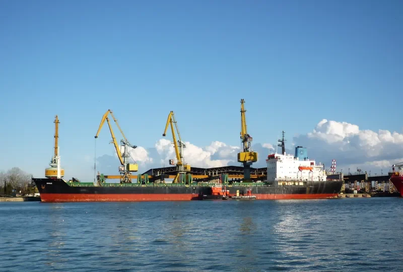 DIDDLE Bulk Carrier IMO 7725714 photo 7