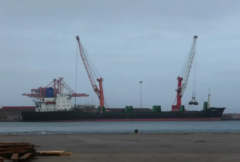 KHOLMSK Bulk Carrier IMO 7725738