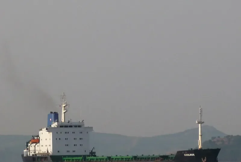 KHOLMSK Bulk Carrier IMO 7725738 photo 5