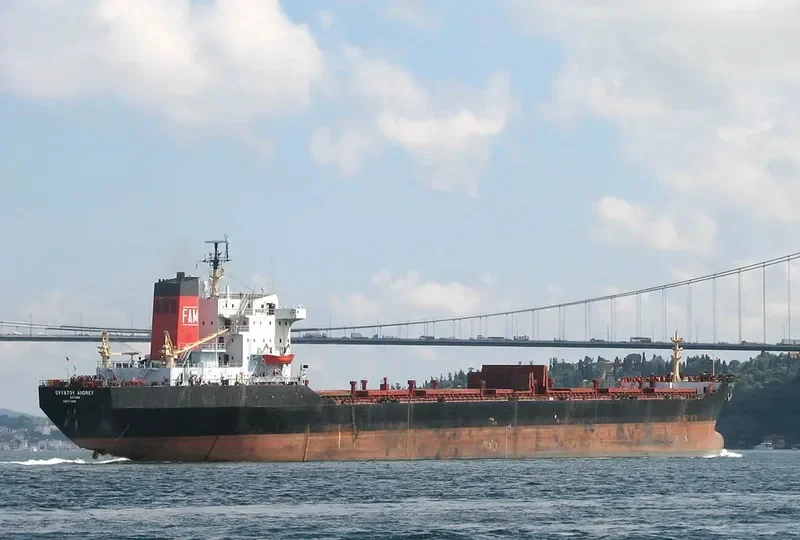 SVYATOY ANDREY Bulk Carrier IMO 7725831 photo 3