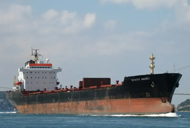 SVYATOY ANDREY Bulk Carrier IMO 7725831 photo 4