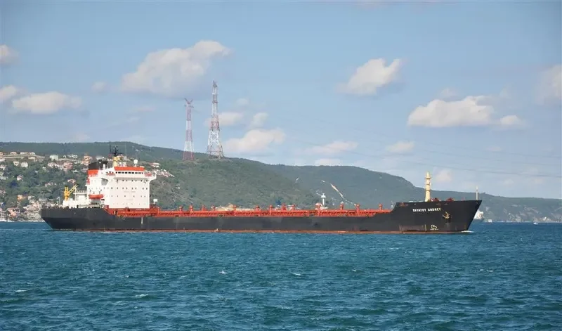 SVYATOY ANDREY Bulk Carrier IMO 7725831 photo 5