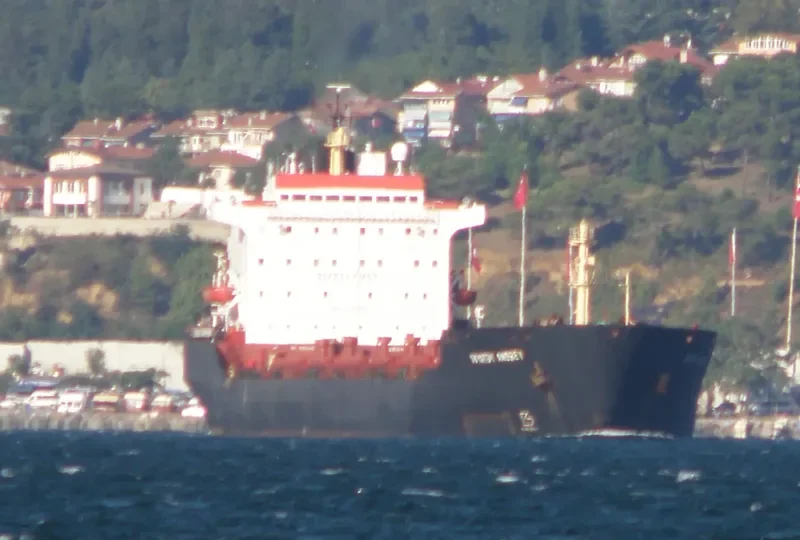 SVYATOY ANDREY Bulk Carrier IMO 7725831 photo 6