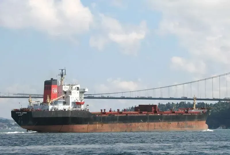 SVYATOY ANDREY Bulk Carrier IMO 7725831 photo 8